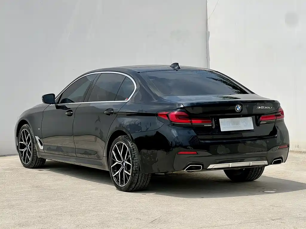 BMW 5 Series — миниатюра 5