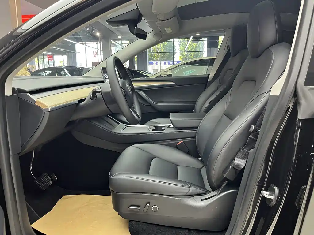 Tesla Model Y — миниатюра 3