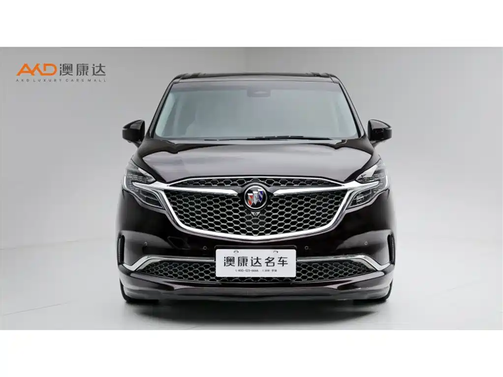 Buick GL8 — миниатюра 2