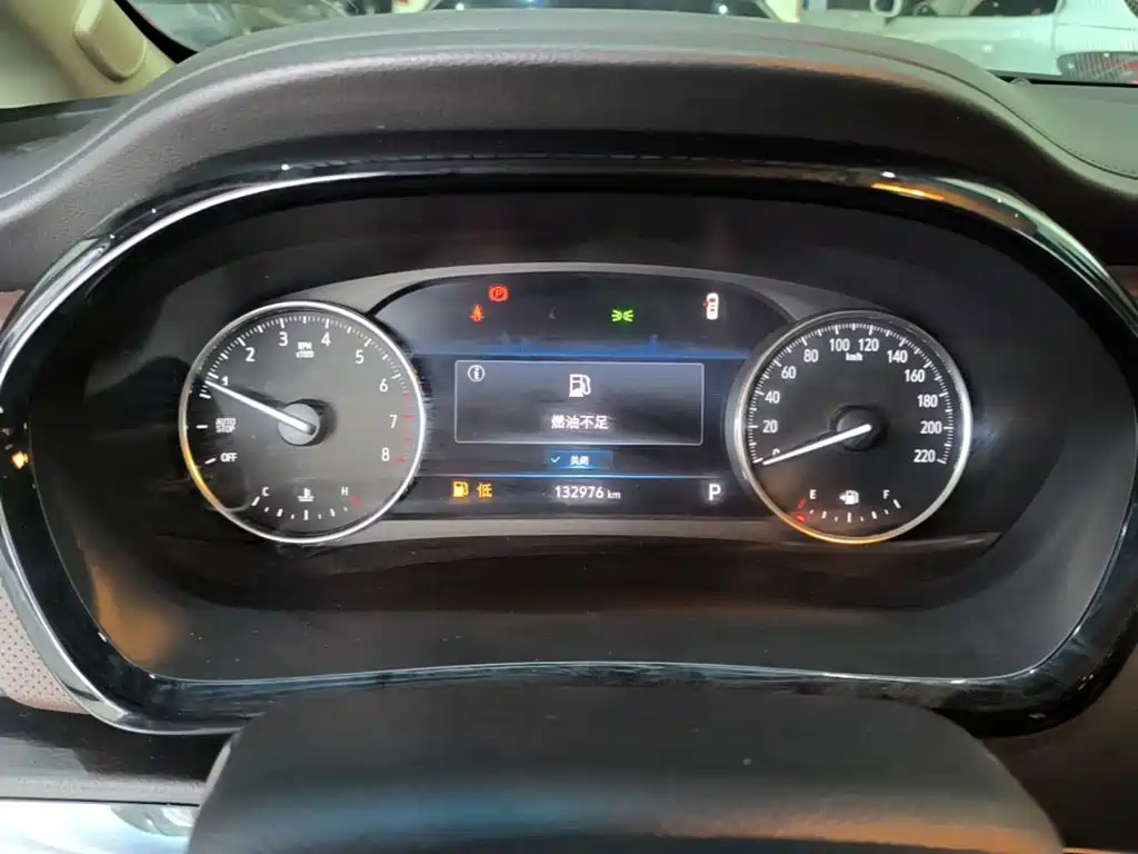 Buick GL8 — миниатюра 12