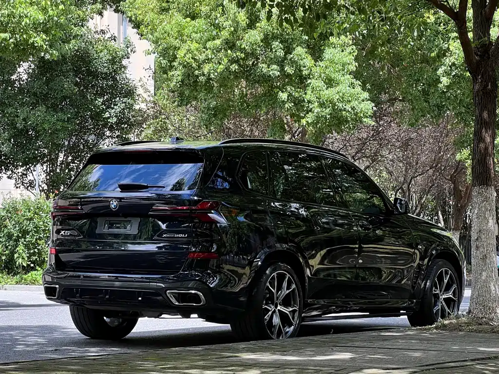 BMW X5 — миниатюра 21