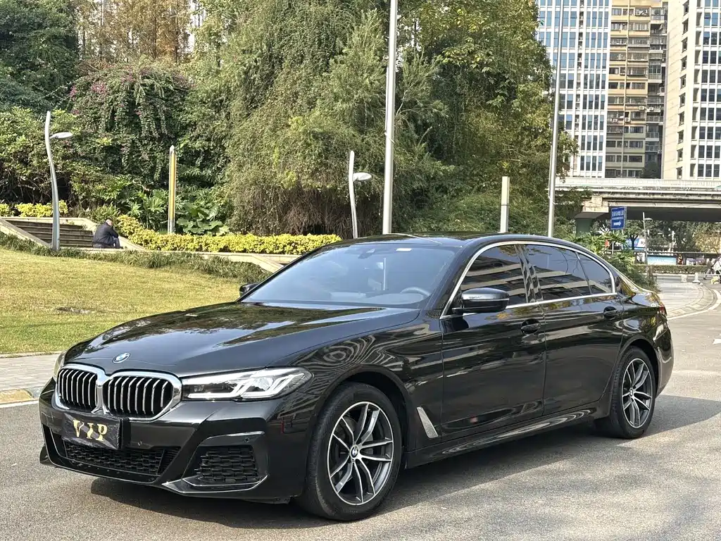 BMW 5 SERIES