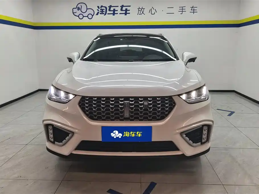 WEI PAI WEI BRAND VV5