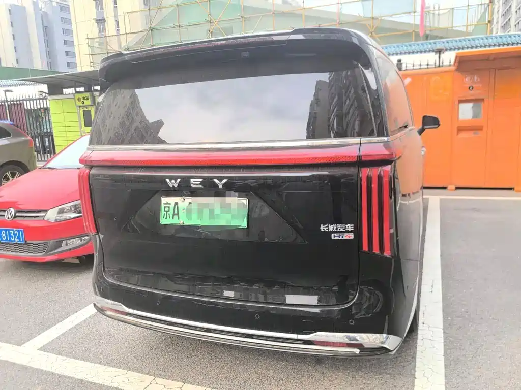 Wey Wey Gaoshan New Energy — миниатюра 11