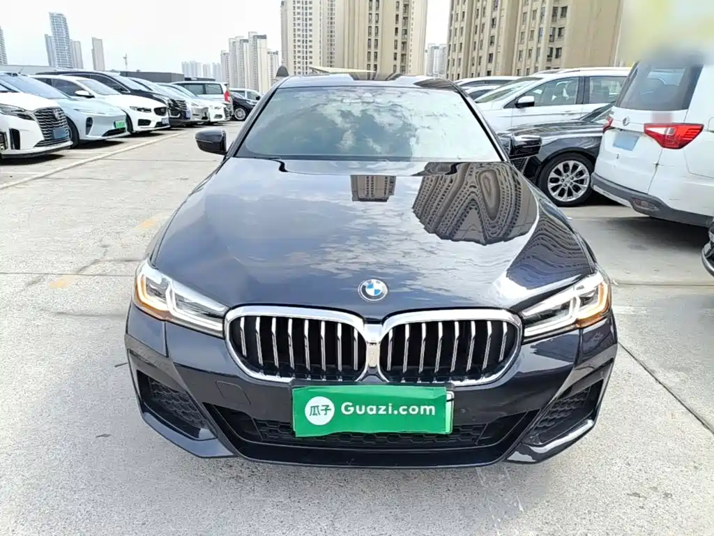 BMW 5 Series New Energy — миниатюра 3