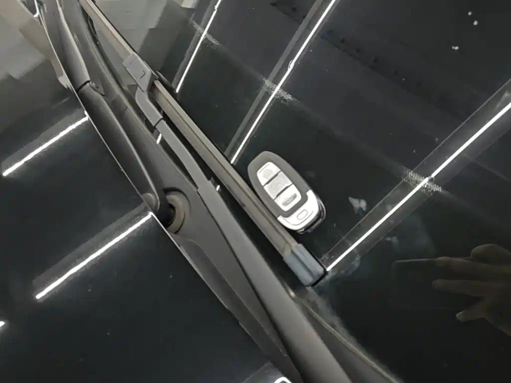 Hongqi Hongqi E-QM5 — миниатюра 9