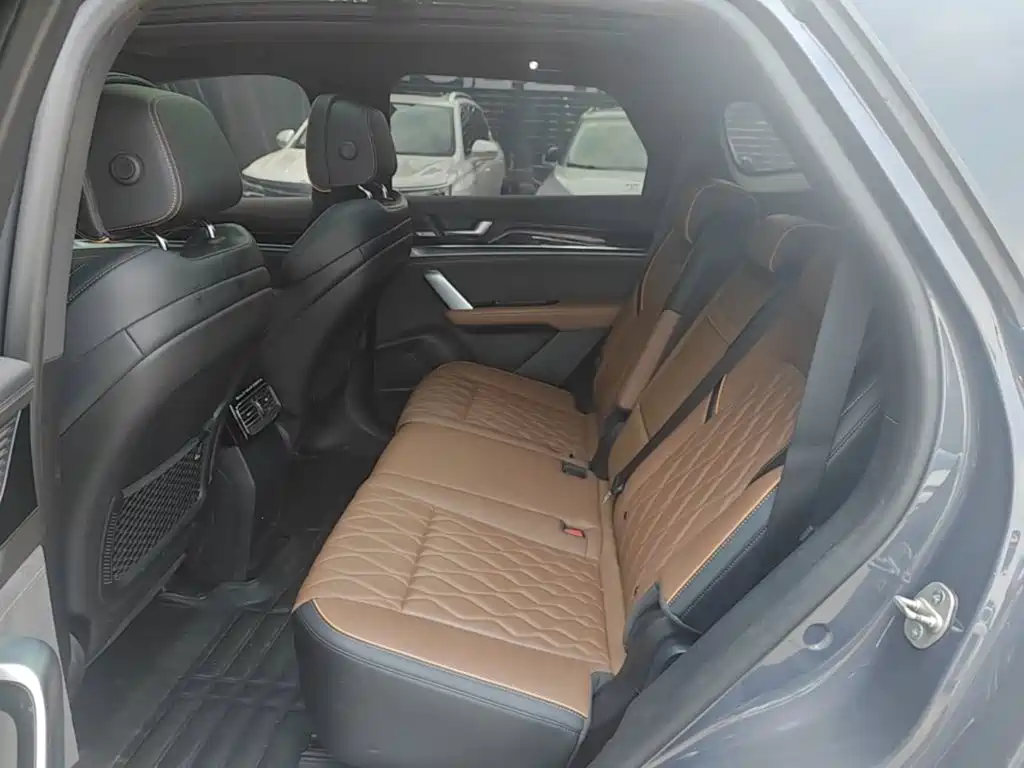 BYD Tang New Energy — миниатюра 17