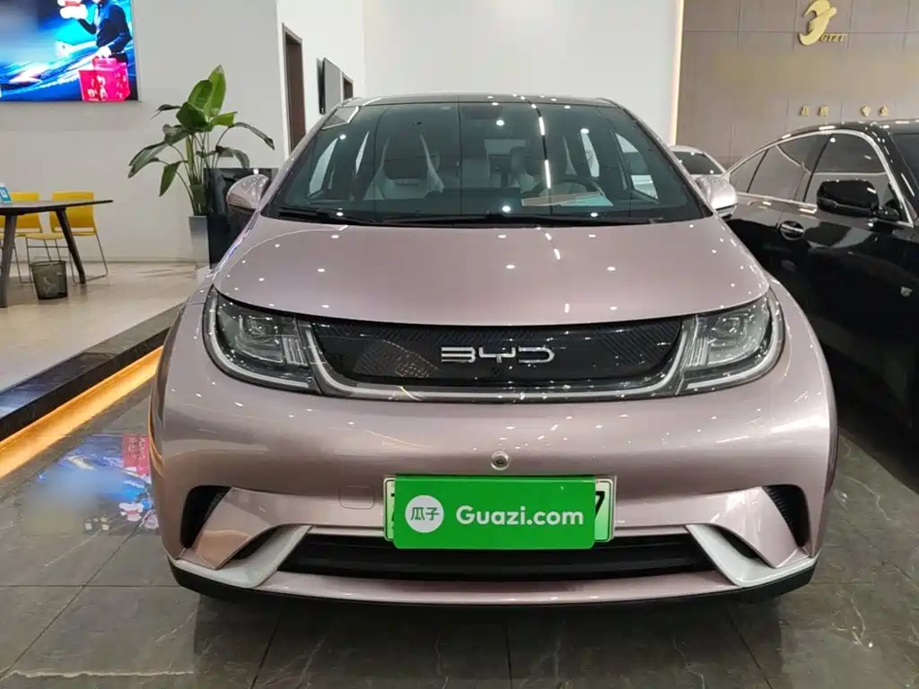 BYD Dolphin — миниатюра 3