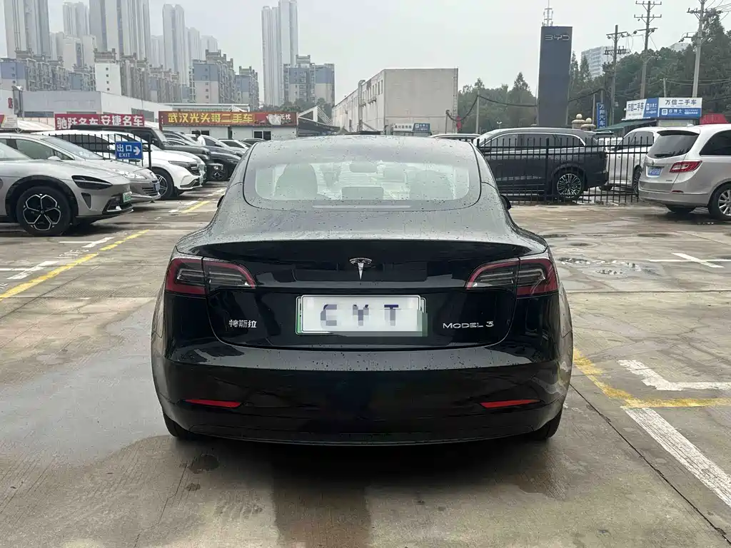 Tesla Model 3 — миниатюра 7