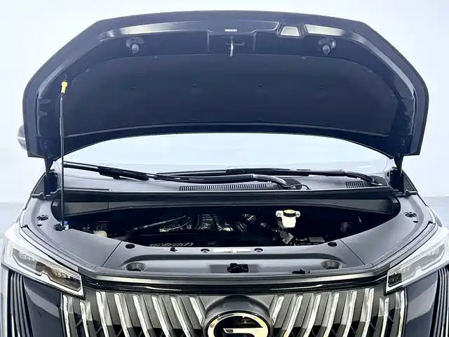 GAC Motor Trumpchi M8 — миниатюра 10