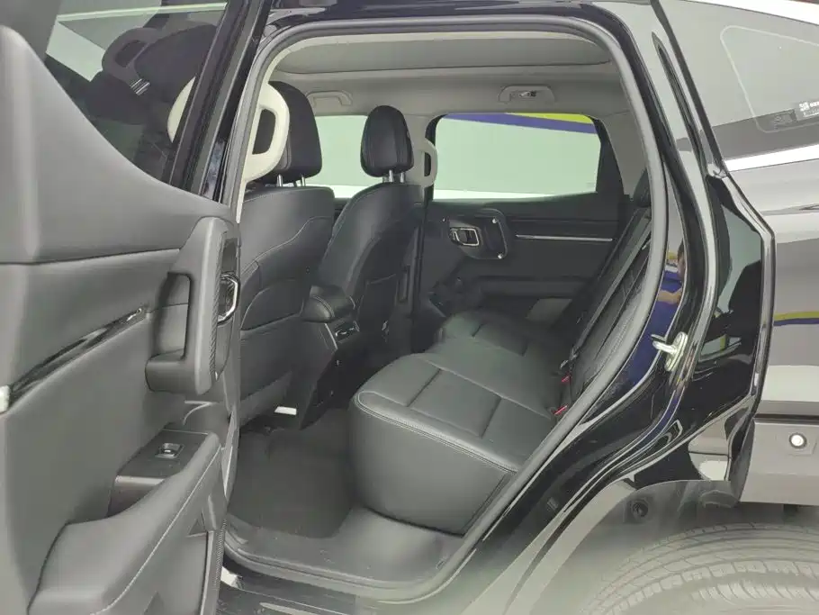 Haval Big Dog PLUS — миниатюра 11