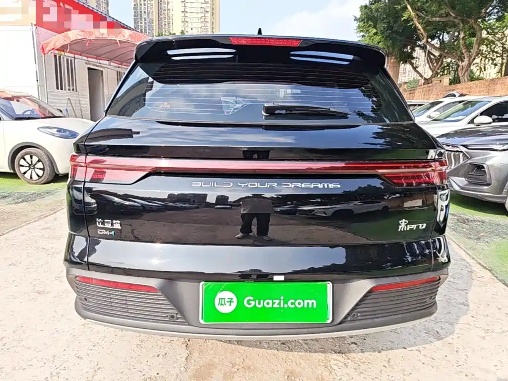 BYD Pro New Energy — миниатюра 6