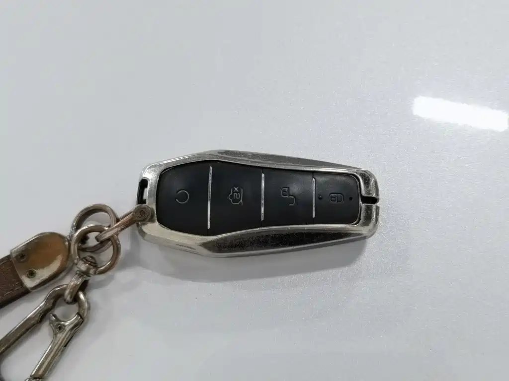 BYD Tang New Energy — миниатюра 19