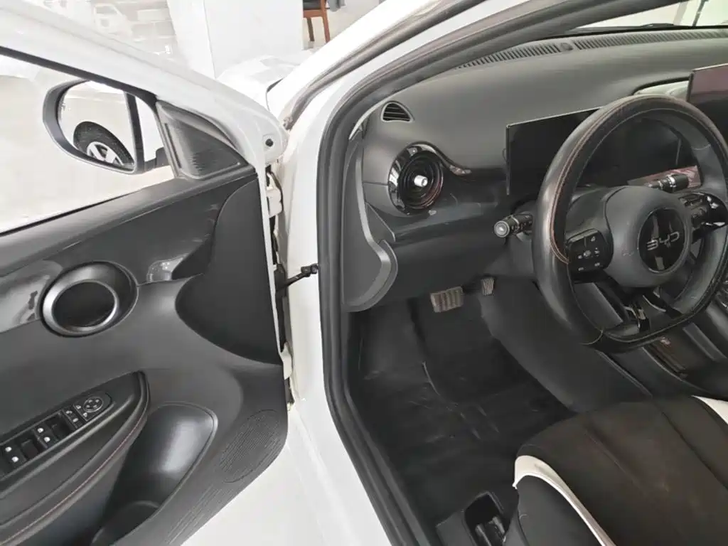 BYD e2 — миниатюра 16