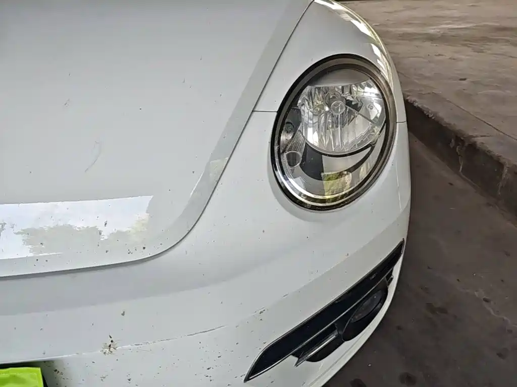 Volkswagen Beetle — миниатюра 24