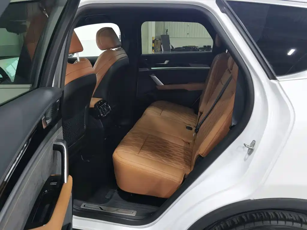 BYD Tang New Energy — миниатюра 15