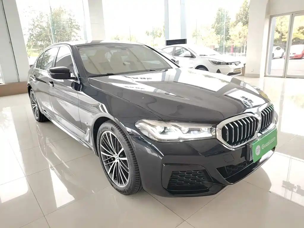 BMW 5 Series — миниатюра 4