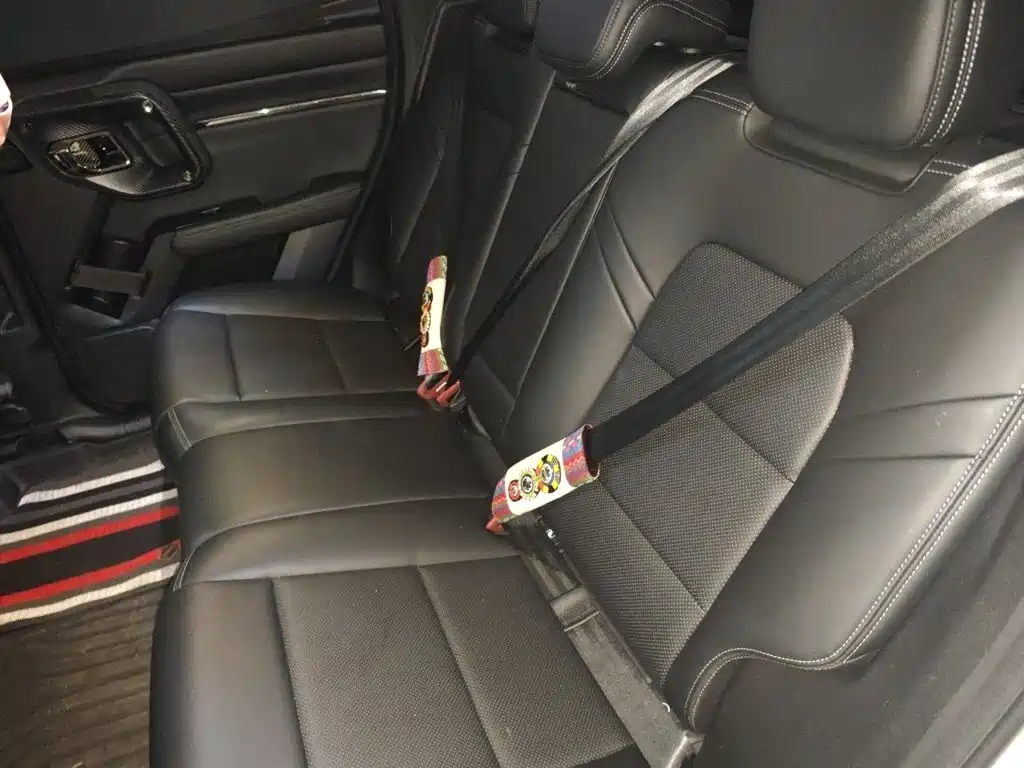 Haval Big Dog PLUS New Energy — миниатюра 11