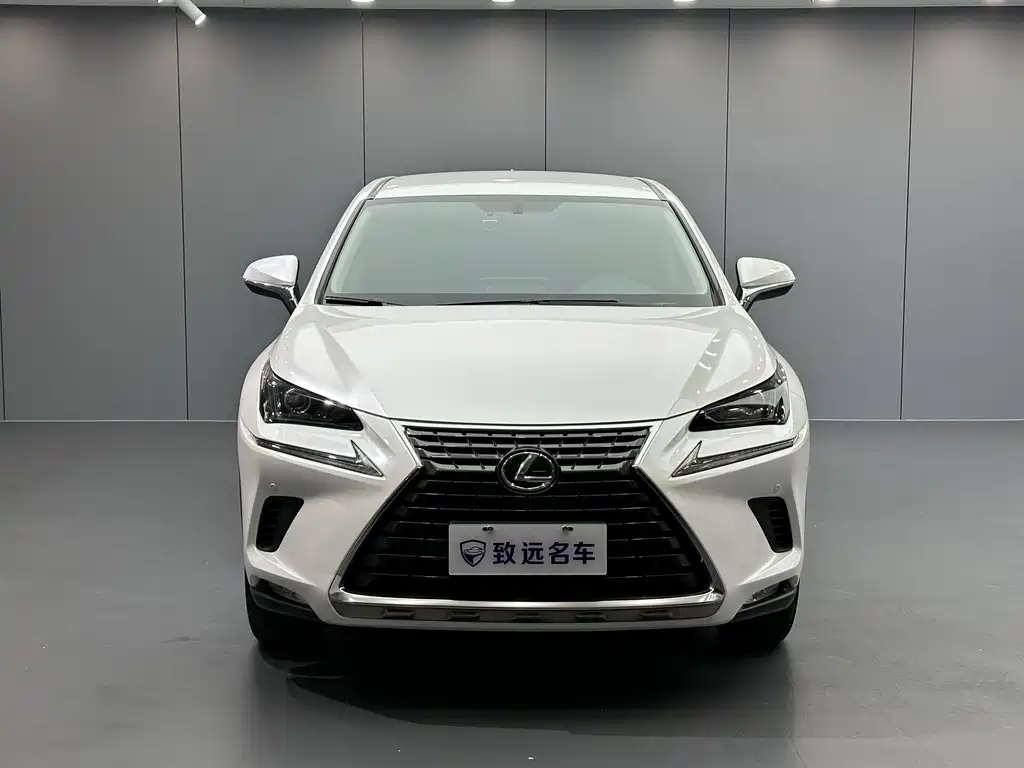 Lexus NX — миниатюра 2