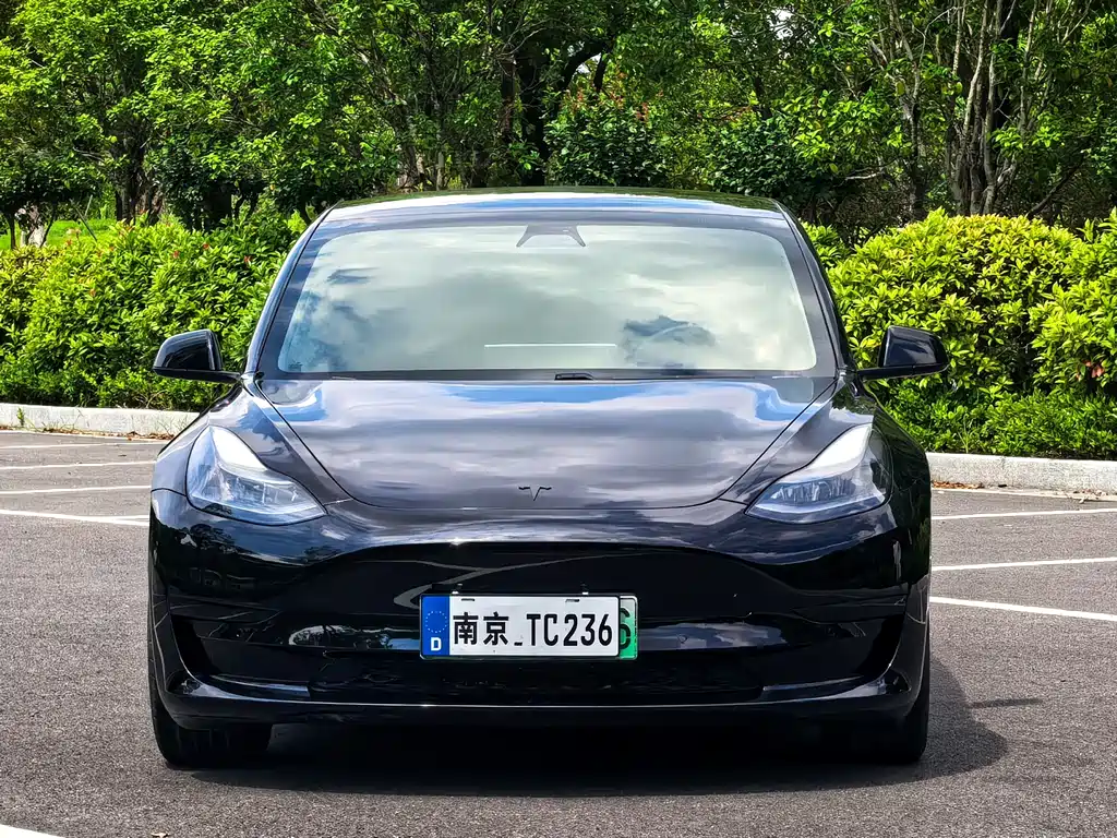 Tesla Model 3 — миниатюра 4