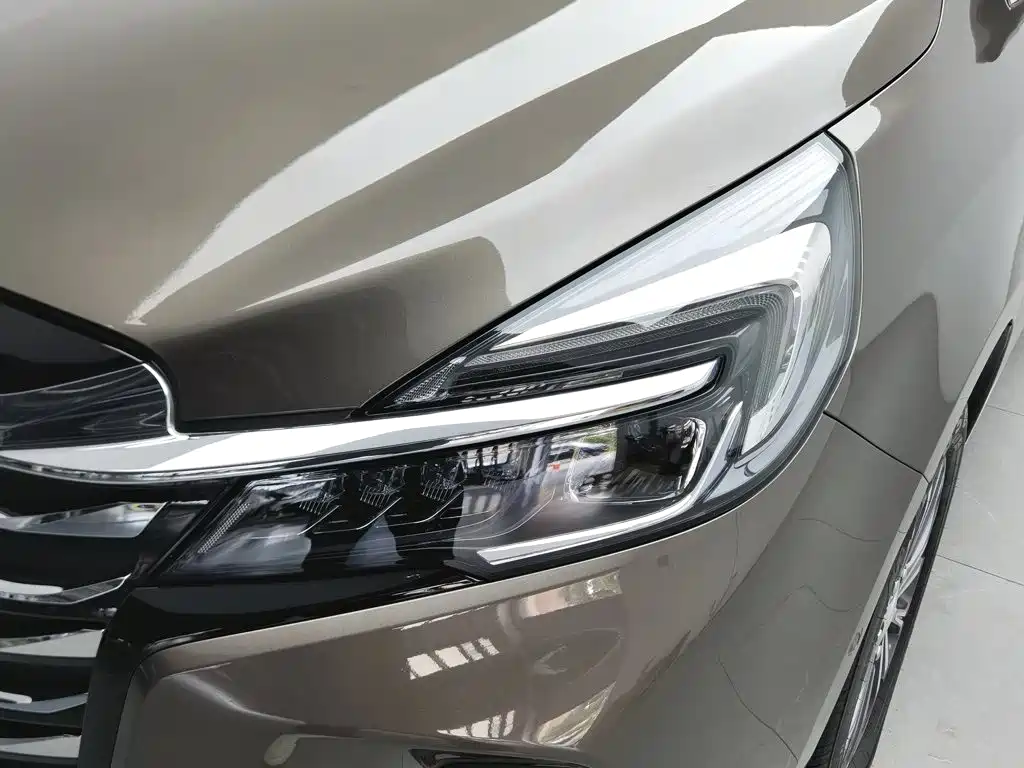 Buick GL8 — миниатюра 7