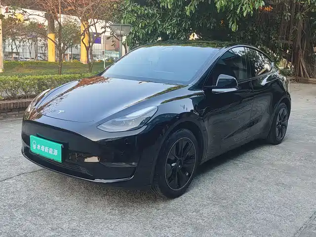 TESLA MODEL Y 2021
