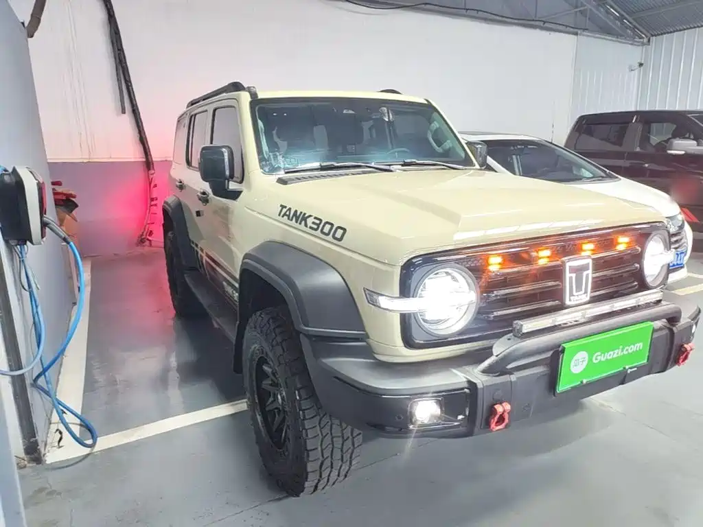 Tank Tank 300 New Energy — миниатюра 4