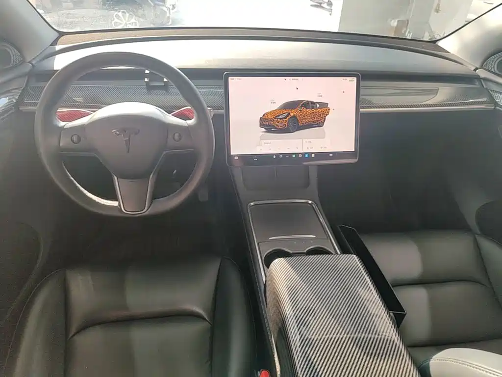 Tesla Model Y — миниатюра 10