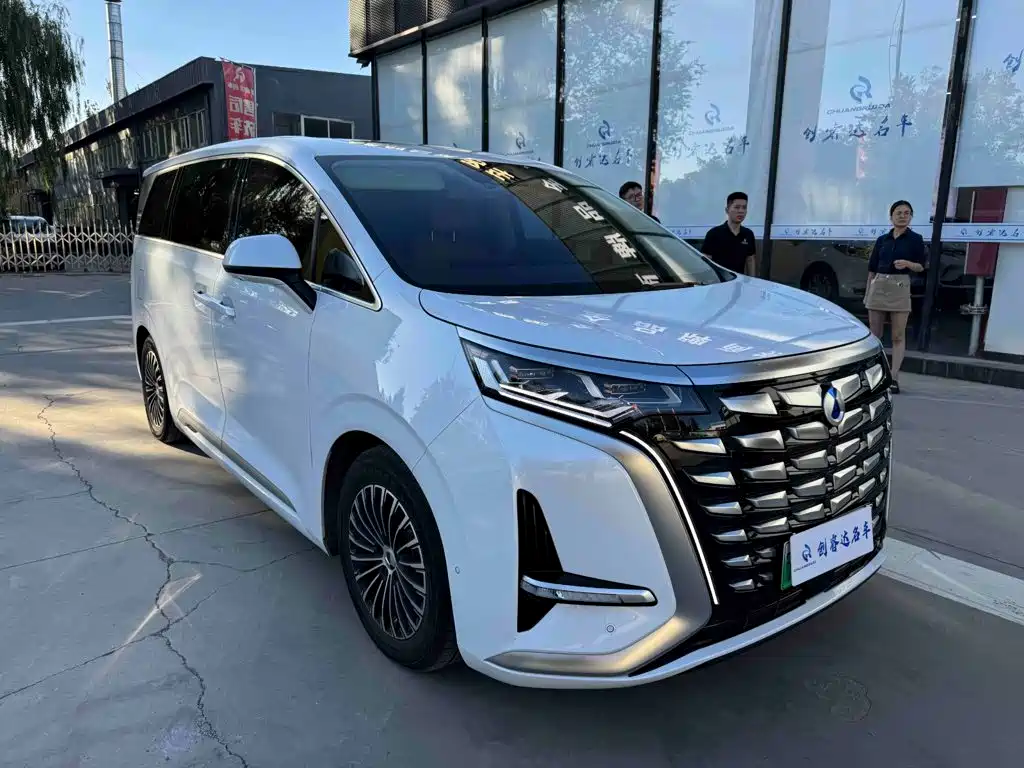 Denza Denza D9 — миниатюра 2