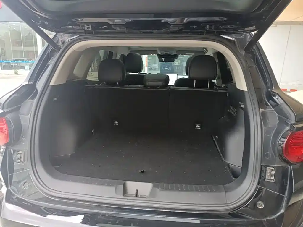 Haval Big Dog PLUS — миниатюра 19