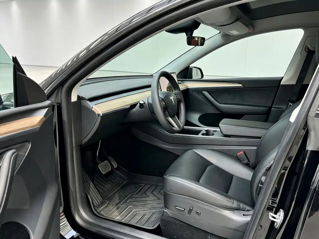 Tesla Model Y — миниатюра 9