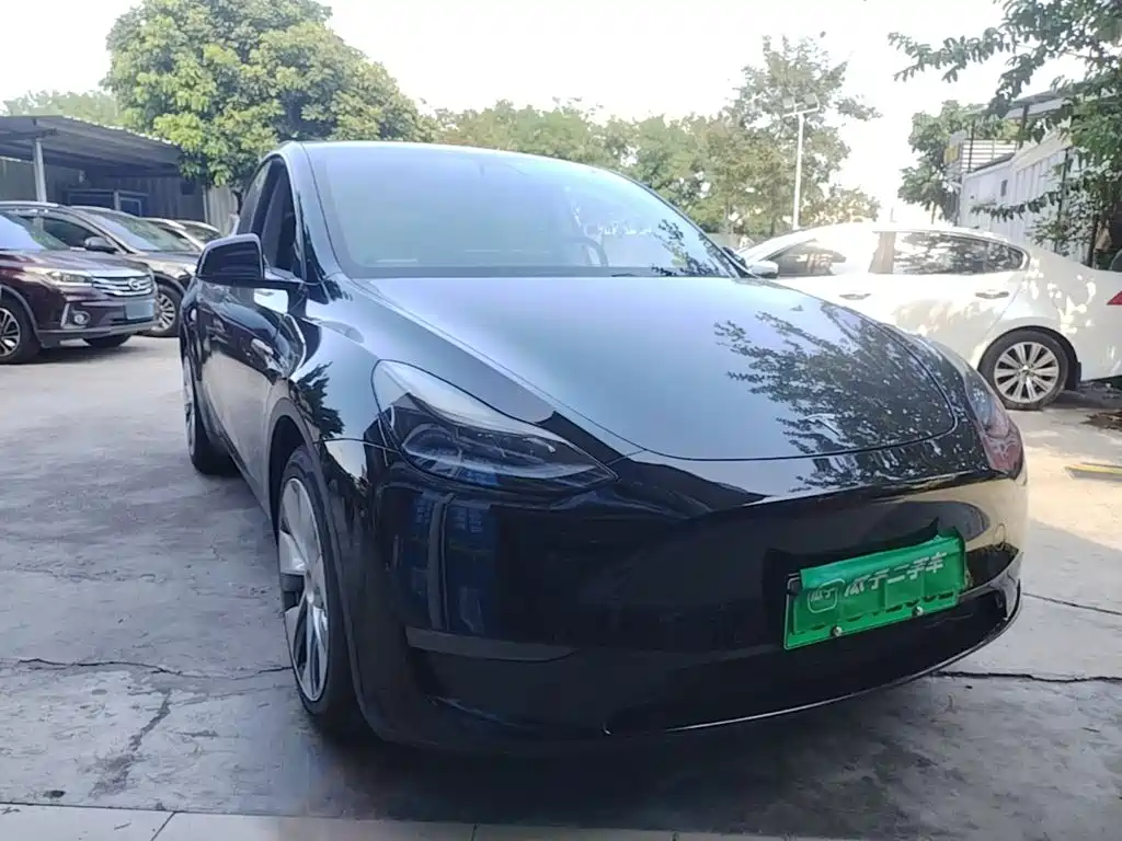Tesla Model Y — миниатюра 4