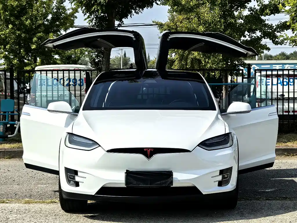 Tesla Model X — миниатюра 4