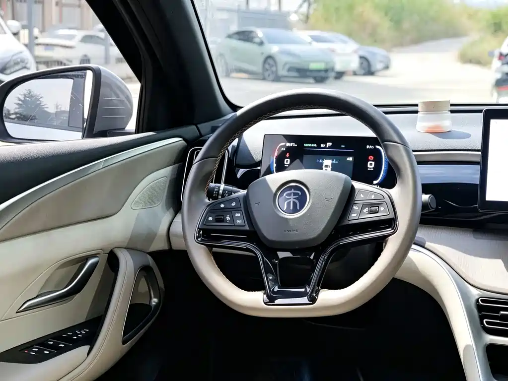 BYD Pro New Energy — миниатюра 13