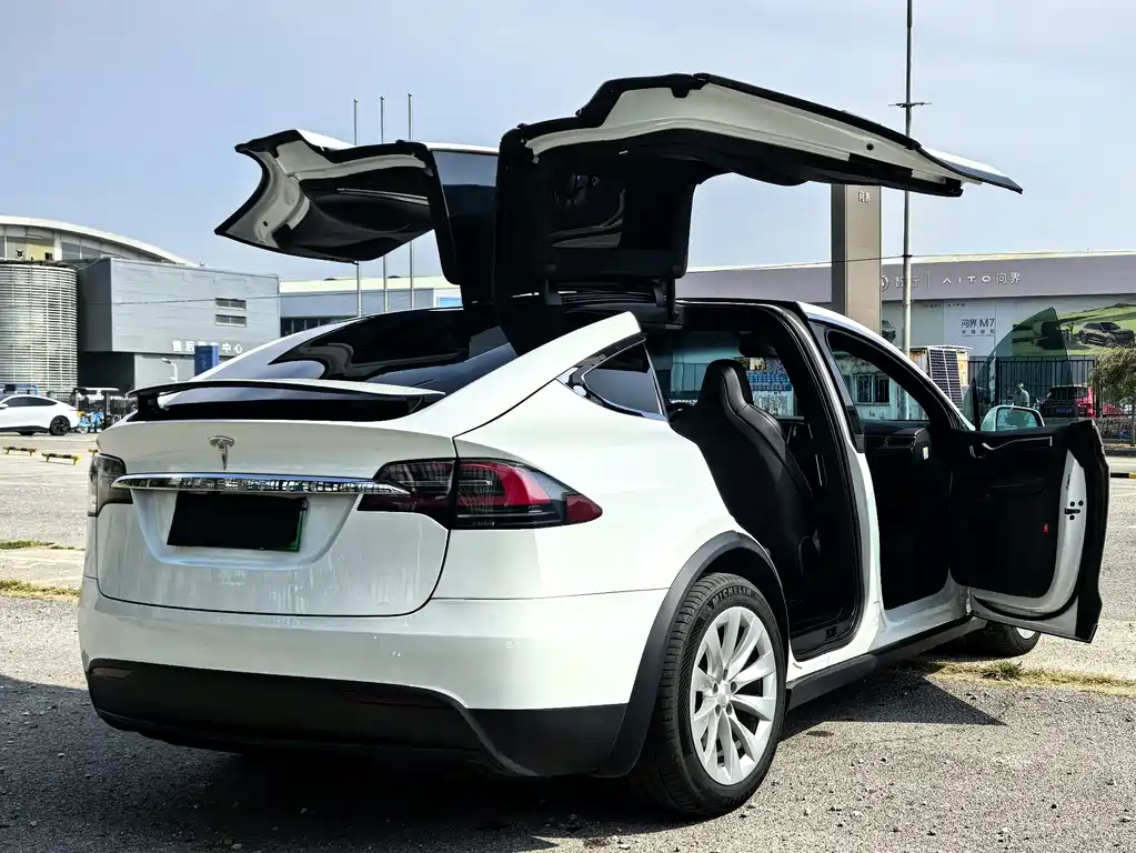Tesla Model X — миниатюра 5