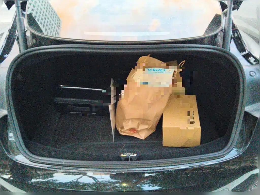 Tesla Model 3 — миниатюра 15