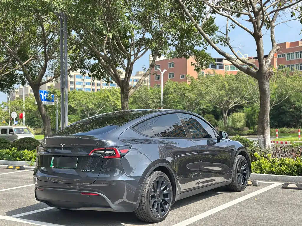 Tesla Model Y — миниатюра 10