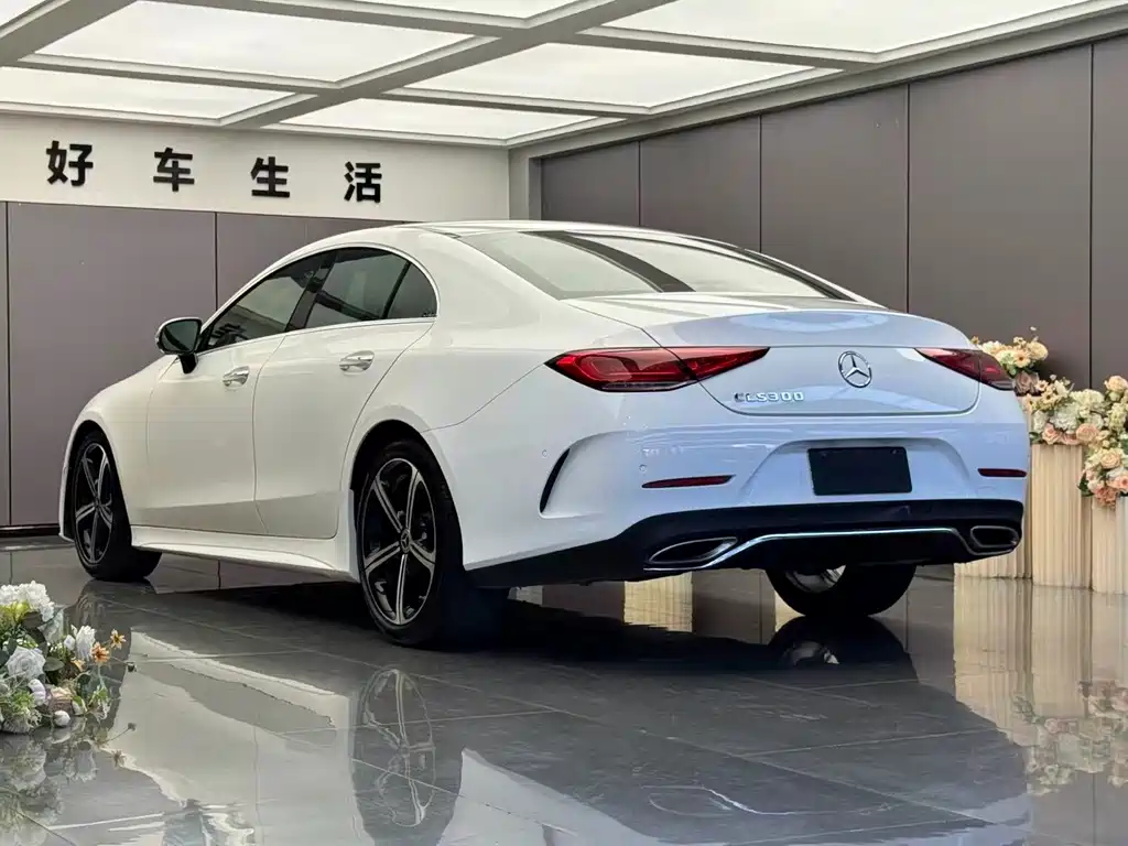 Mercedes-Benz CLS — миниатюра 9