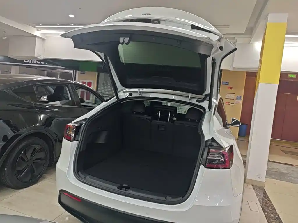 Tesla Model Y — миниатюра 19