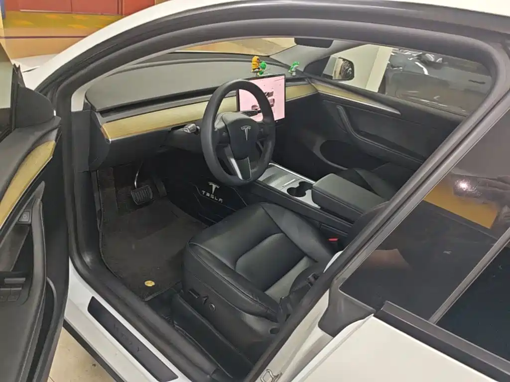 Tesla Model Y — миниатюра 16