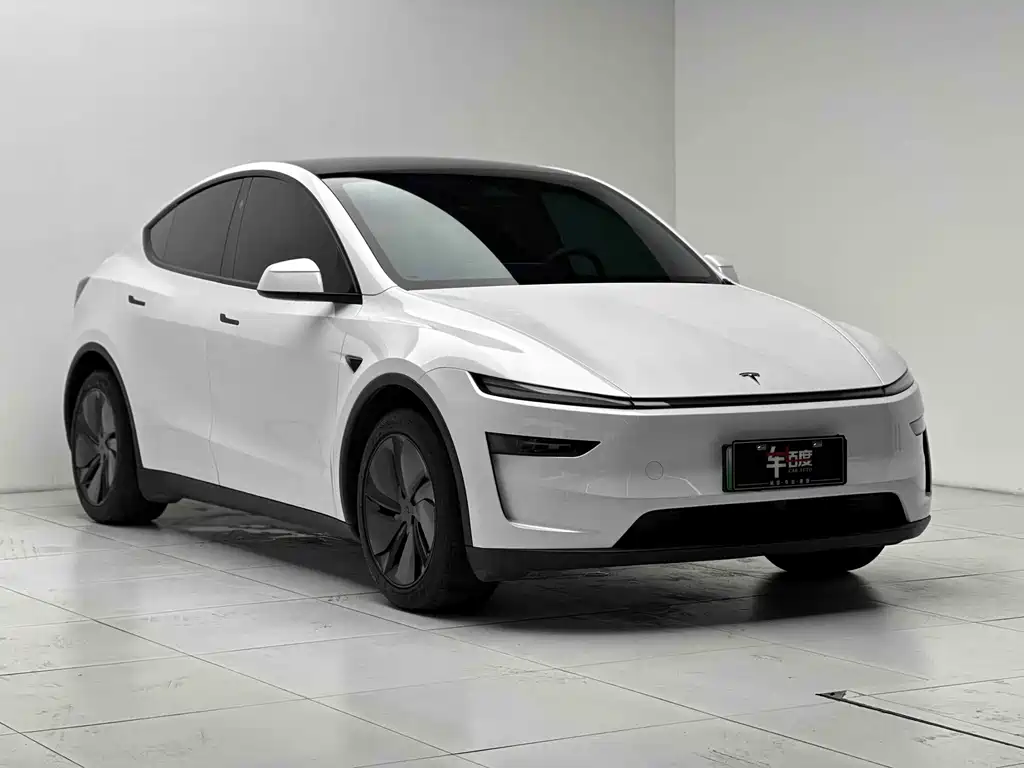 Tesla Model Y — миниатюра 3