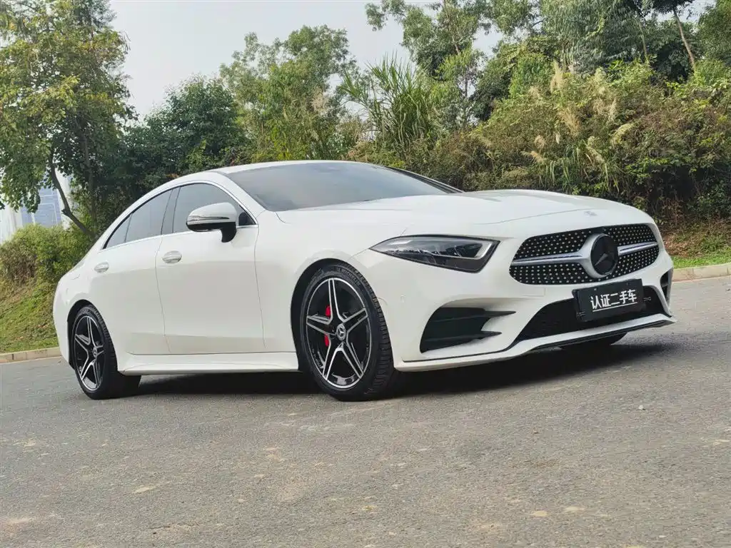 Mercedes-Benz CLS 2021 CLS 300 Luxury