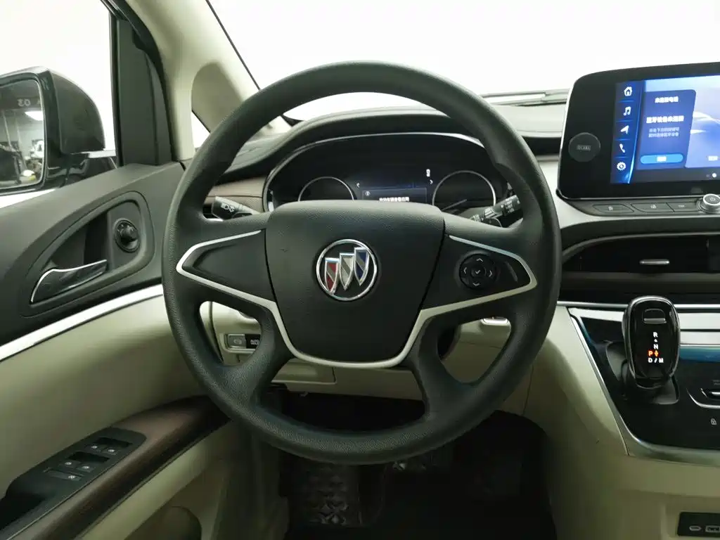 Buick GL8 — миниатюра 11
