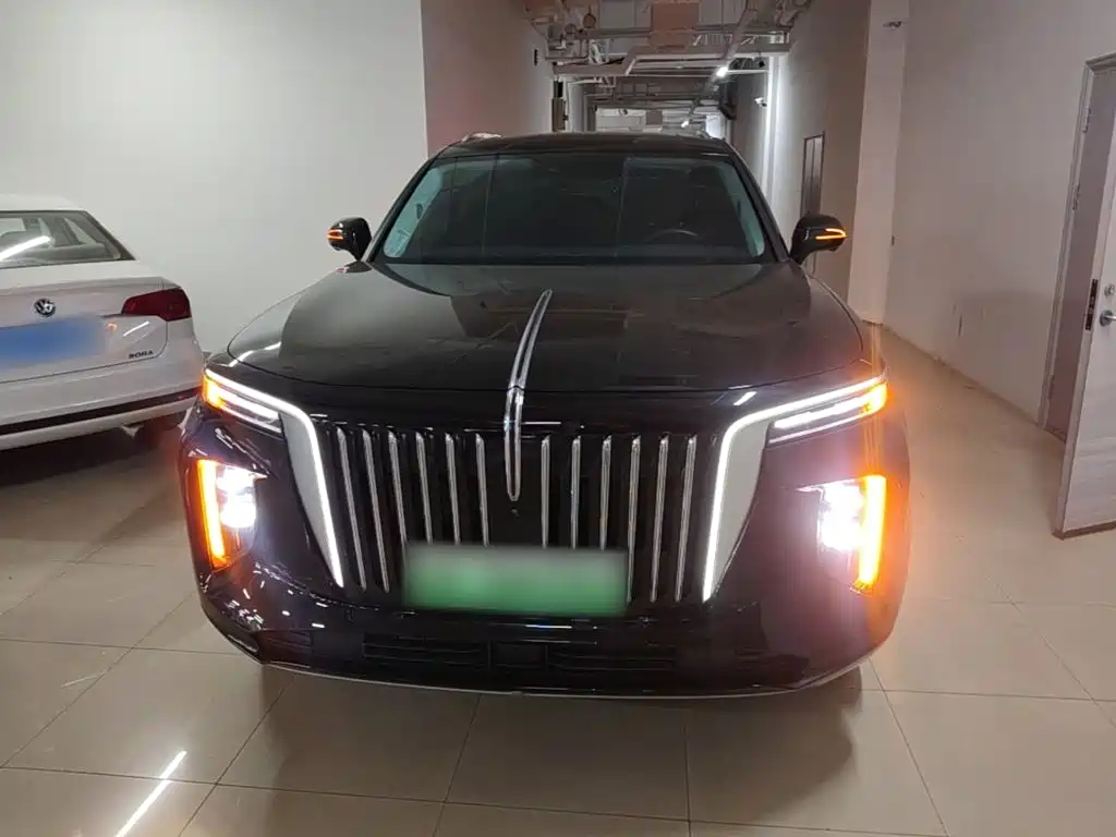Hongqi Hongqi E-HS9 — миниатюра 3