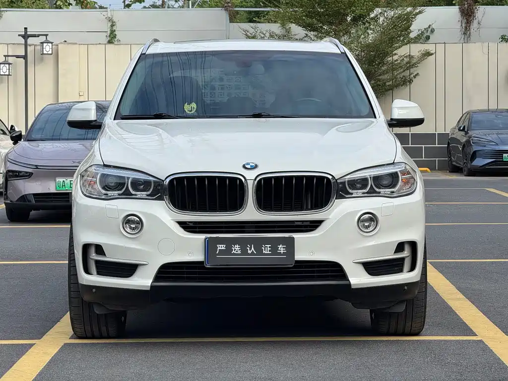 BMW X5 (Import) — миниатюра 2