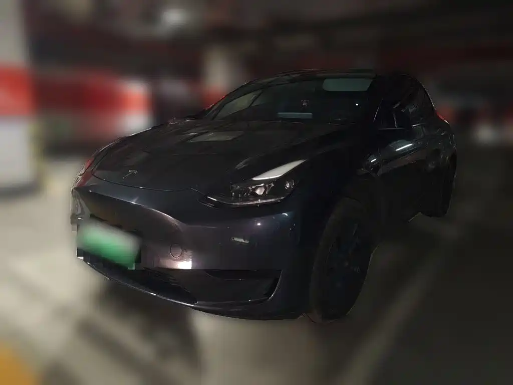 Tesla Model Y — миниатюра 2