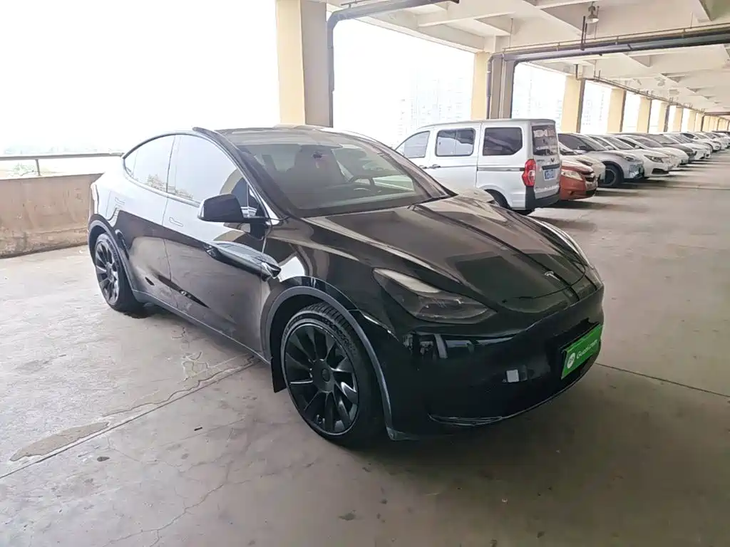 Tesla Model Y — миниатюра 4