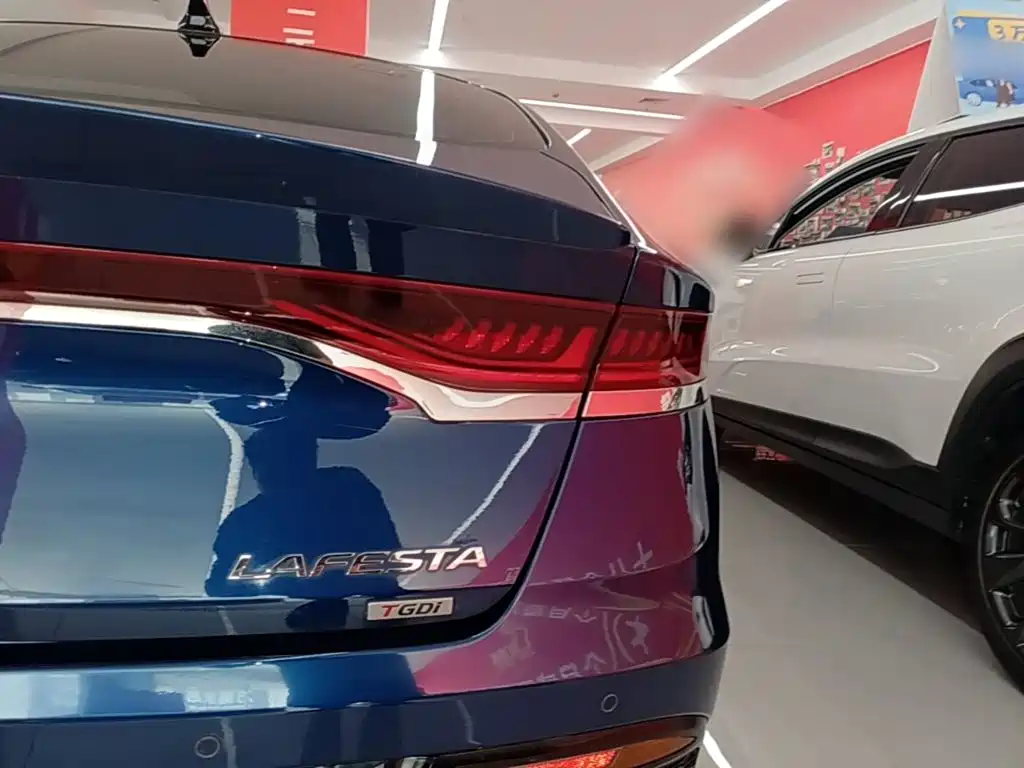 Hyundai Fista — миниатюра 8