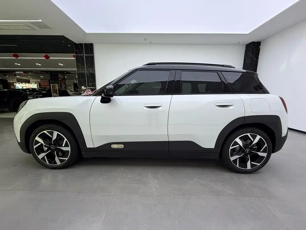 MINI MINI ACEMAN EV — миниатюра 5