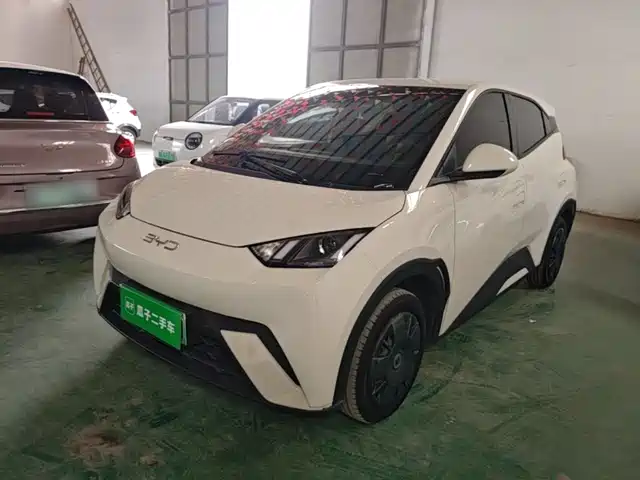 2024 BYD Seagull